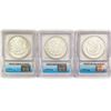Image 2 : 1921 (S&D) (Set 3) Morgan Silver Dollar ICG MS
