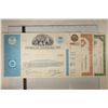Image 3 : 4 VINTAGE STOCK CERTIFICATES: 1961 FOOD FAIR