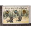 Image 1 : AMERICAN BISON NICKEL COLLECTION COLORIZED,