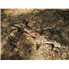 Image 2 : 3 Pt Hitch Cultivator (4')