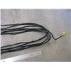 Image 3 : Extension Cord (~100')