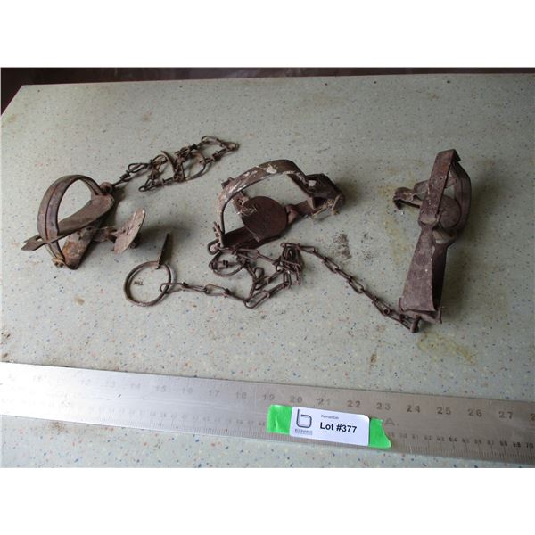 (3) Vintage Leg Hold Animal Traps