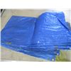 Image 2 : Blue Tarp