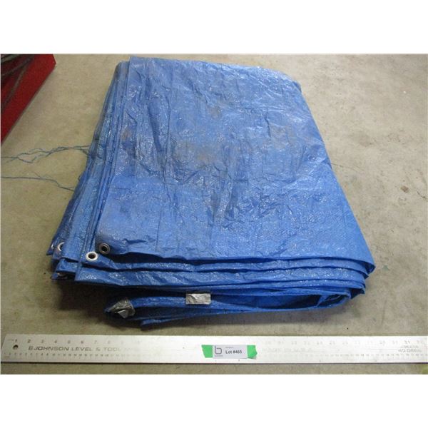 Blue Tarp