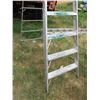 Image 3 : 10' Step Ladder
