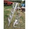 Image 1 : (2) Step Ladders