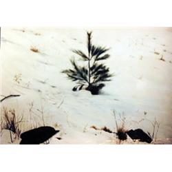 J.K. HANSEGGER 683 O/C SNOW SCENE WITH FIR TREE 30