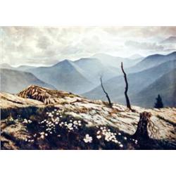 J.K. HANSEGGER 864 O/C DEAD TREES MOUNTAINS & CLOU