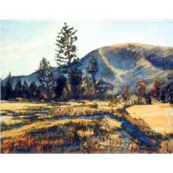 J. K. HANSEGGER 793 O/C STREAM IN MEADOW