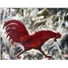 Image 1 : J.K. HANSEGGER 553 O/B RED ROOSTER 28"X22"