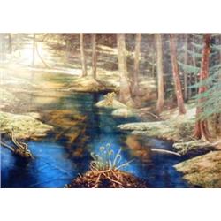 J.K. HANSEGGER 806 O/C SPRING IN THE FOREST