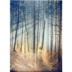 J.K. HANSEGGER 655 O/C SUNLIT TREES IN FOREST 30