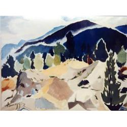 J.K. HANSEGGER 1146 CAMOUFLAGE HILLSIDE 30"X24"