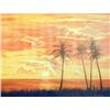 Image 1 : J.K. HANSEGGER 876 O/B SUNSET W/ PALM TREES