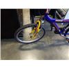 Image 2 : BLUE SUPERCYCLE BIKE
