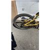 Image 4 : DXR BIKE