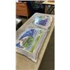 Image 1 : 2 NEW BUCKWHEAT PILLOWS