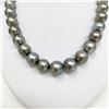 Image 3 : 14-16mm Tahitian Silver Gray Near-Round Pearl Necklace with Gold Clasp