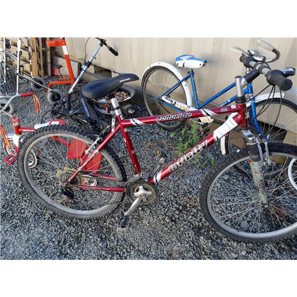 Telluride Bike Cat B