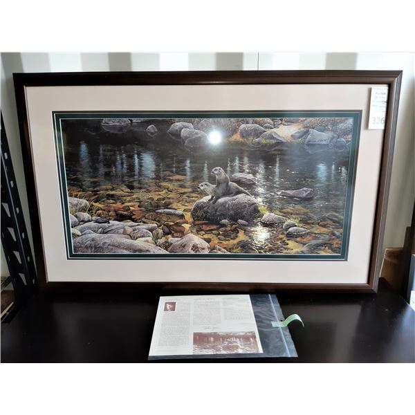 Stephen Lyman 'New Kid On The Rock' Cat A