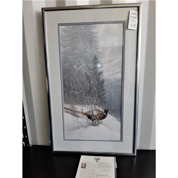 Stephen Lyman 'Color In The Snow' Cat A