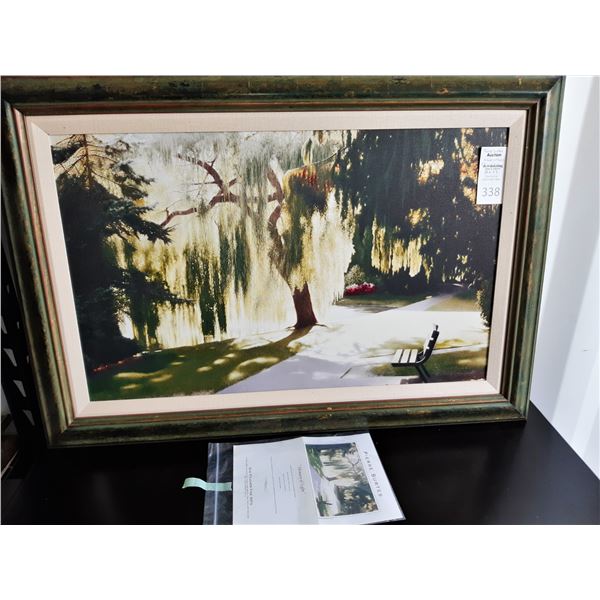 Pierre Surtes 'Memory of Light' Cat A