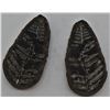 Image 2 : Split Rock Specimen with Fern Fossil Inside