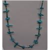 Image 1 : Navajo Sterling Turquoise Fetish Necklace