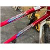 Image 2 : Lot of 1 Road Runner Mountain Tour Bicycle - Used