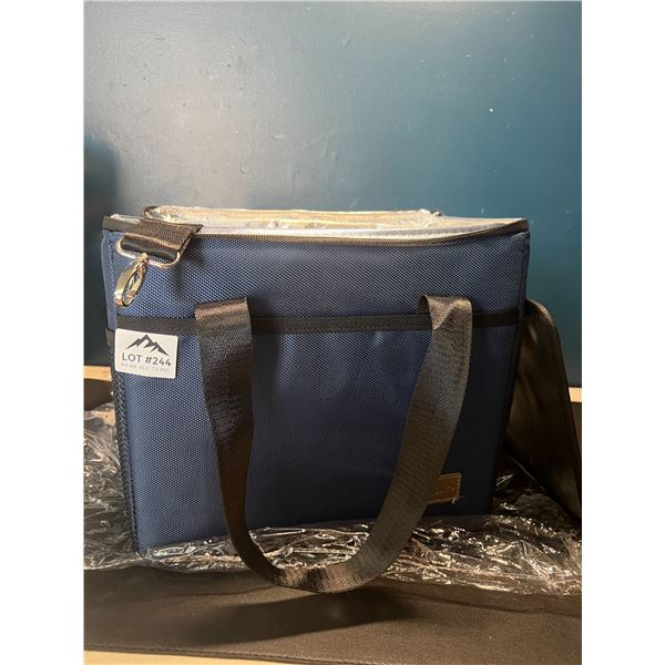 Lot of 1 Large Insulated Cooler/Travel Bag