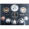 Image 2 : 2002 (1952-) Proof Set - Loon / Queen Elizabeth II / Bear - NO BOX