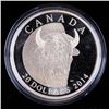 Image 3 : 2014 $20 The Bison: A Portrait - Pure Silver Coin