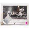 Image 1 : TED WILLIAMS LARGE PRINT W/SHADOW