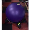 Image 1 : PT PERSONAL FITNESS TRAINER BALL ON EVOLUTION