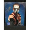 Image 1 : STING SIGNED WCW 8 X 10 (GCG HOLO)