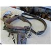 Image 2 : Linesman Tool Belt, Insulator