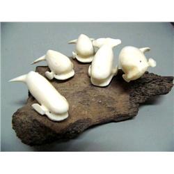 Pod of Beluga Whales by Mark Seaganna (2) 450C