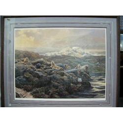 CHOICE Coastal Ciique Harbor Seals) print by Seerey Lester 1992 (100)
