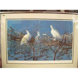 CHOICE Arctic Ptarmigan, print by Bill Cross 1982 (100)