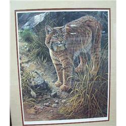CHOICE Sun Dawn Aert Bobcat, print by Seerey Lester 1987 (100)