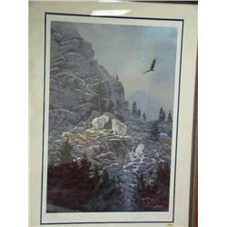 Print by Kelley of Mountain Goats, 220/950,  (75)