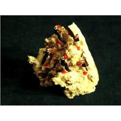 Rookery 5 Bird Puffin by Robert Kokuluk of King Island (2)