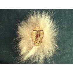 CHOICE on 3 Masks, Whale bone, Baleen and Ivory (2)