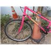 Image 2 : Ladies Super Cycle Mountain Bike with 26" Rims