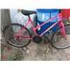 Image 4 : Ladies Super Cycle Mountain Bike with 26" Rims