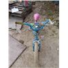 Image 3 : Girls Bike with Training Wheels and 16" Rims