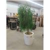 Image 2 : Artificial Plant 72'' Tall