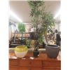 Image 1 : Artificial Plant Approx. 76'' Tall , 2 Decorative Pots