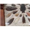 Image 7 : 35 Arrowheads Up to 3 1/2'' Long - Framed in Display 