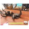 Image 3 : Buffalo Horn Coat Rack / Display - 2 Horns Need to be Fastened